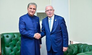 وزیر خارجہ کی فلسطینی ہم منصب سے ملاقات، جدوجہد میں حمایت کی یقین دہانی