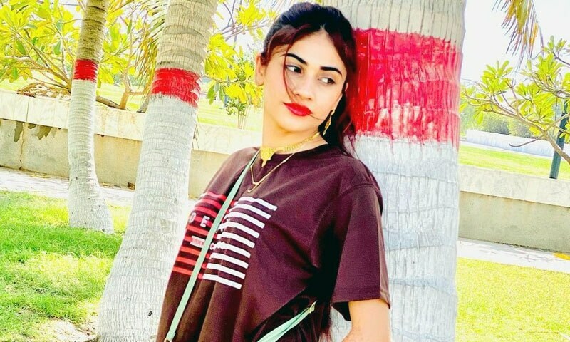 عامر لیاقت کی اہلیہ دانیہ شاہ نے خلع کے لیے عدالت سے رجوع کرلیا؟