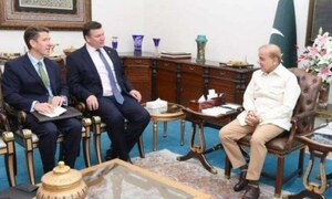 پاکستان کی سیاسی ہلچل کا تعلق ملک کے اندرونی عوامل سے ہے، برطانوی وزیر