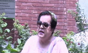 اداروں اور حکومت کے ہینڈلرز سے سوال ہے کہ آخر آپ کیا چاہتے ہیں؟ شیریں مزاری