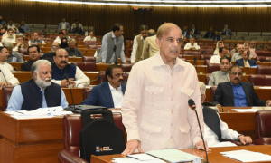 PM Shehbaz lauds Kashmiris for keeping 'flame of freedom' alive in face of Indian tyranny