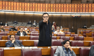 پبلک اکاؤنٹس کمیٹی طیبہ گل کے معاملہ پر فیصلہ کرے گی، نور عالم خان