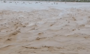 Rescue efforts underway as rains, floods wreak havoc in parts of Balochistan