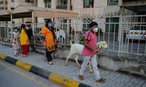 PM Shehbaz approves five-day holiday for Eidul Azha