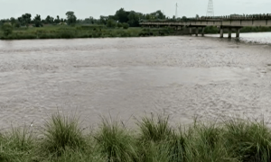 20 relief camps set up in Sahiwal amid flood alerts as India releases water into Ravi