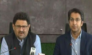بھارت سے درآمدات کا فیصلہ 'اسٹیک ہولڈرز' کی مشاورت سے کیا جائےگا، وزیر خزانہ