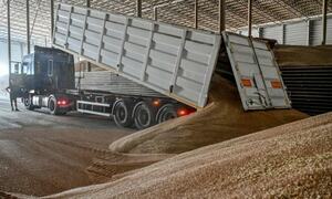 First Ukraine grain ship to set sail, more to follow, says Turkey