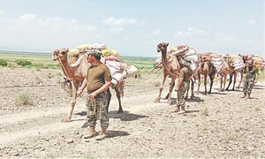 32 Balochistan districts declared &lsquo;calamity-hit&rsquo;
