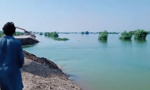لاڑکانہ-سیہون بند میں 'کٹ' لگادیے گئے، سیلاب سے مزید 36 افراد جاں بحق