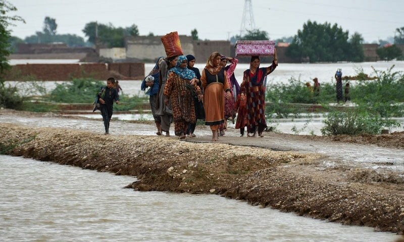 سندھ کے شیلٹر ہومز میں 47 ہزار حاملہ خواتین موجود ہیں، عذرا پیچوہو