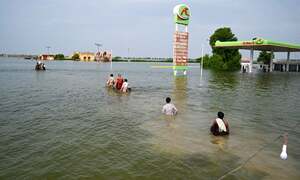 PM Shehbaz calls for 'sustainable system' to deal with climate change as 18 more die in floods