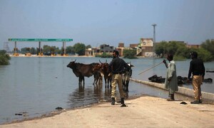 Interest-free loans for flood-hit farmers sought