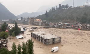 Dengue, malaria spreading in Khyber Pakhtunkhwa&rsquo;s flood-hit districts