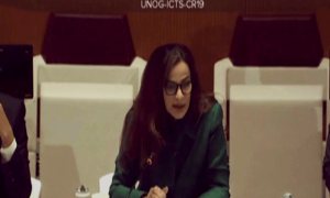 سیلاب سے ہونے والی تباہی سے کوئی ملک اکیلا نہیں نمٹ سکتا، شیریں رحمٰن