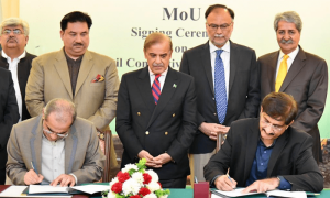 23 مارچ تک تھر کول کو ریلوے نظام سے منسلک کرنے کی بھرپور کوشش ہوگی، شہباز شریف