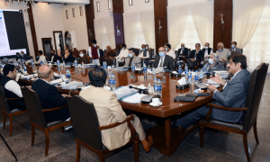 وفاق کے تین بڑے ہسپتال 25 سال کیلئے سندھ حکومت کے سپرد کرنے کی منظوری