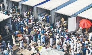 گندم کی پیداوار میں کمی کے باعث غذائی تحفظ سنگین خطرات سے دوچار