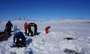 Climate change may heighten risk of virus spillover from Arctic: study