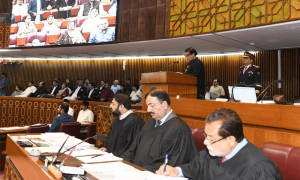 قومی اسمبلی میں ایک بار پھر جنوبی پنجاب صوبے کے قیام کا مطالبہ