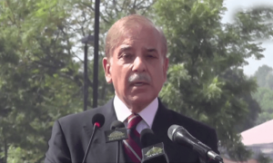 سعودی عرب نے پاکستان میں آئل ریفائنری کے قیام پر آمادگی ظاہر کی ہے، وزیراعظم