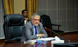 اقتصای رابطہ کمیٹی نےگندم، یوریا کی درآمد کی منظوری دے دی