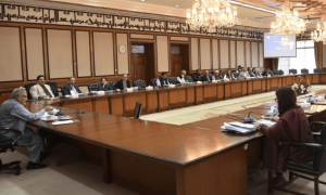 ہائی اوکٹین پیٹرول پر لیوی 30 سے بڑھا کر 50 روپے کرنے کی منظوری