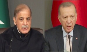 ترکیہ خطے میں ترقی و خوشحالی کیلئے سی پیک کا حصہ بنے، شہباز شریف