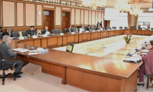 اقتصادی رابطہ کمیٹی نے روس سے گندم درآمد کرنے کی منظوری دے دی