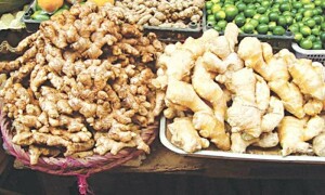 کراچی کی بندرگاہوں پر 50 لاکھ ڈالر سے زائد مالیت کی سبزیاں پھنس گئیں