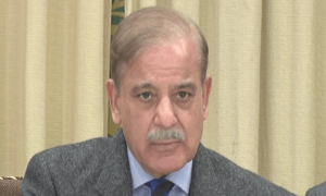 اختلافات بھلا سکتے ہیں لیکن انا پرست، جھوٹے اور محسن کش سے کیا مذاکرات ہوں گے، وزیر اعظم