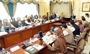اسمبلیاں تحلیل ہوئیں تو پی ڈی ایم الیکشن لڑے گی، وفاقی حکومت کا فیصلہ