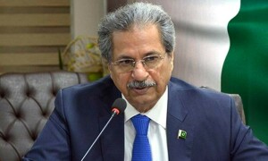 مسلم لیگ (ق) نے 45 نشستوں پر ایڈجسٹمنٹ کا مطالبہ کیا ہے، شفقت محمود کی تصدیق