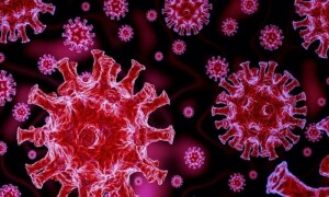 &lsquo;New strain&rsquo; of coronavirus in China poses threat to Pakistan: NCOC