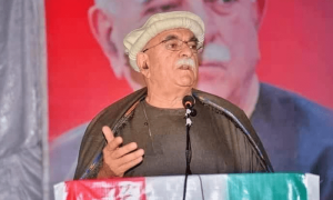 پشتونخوا ملی عوامی پارٹی باضابطہ طور پر دھڑوں میں تقسیم