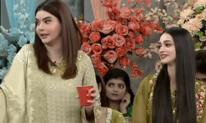 وائرل ہونے والی لڑکیوں کے شوز پسند کیے جانے میں میرا قصور نہیں، ندا یاسر