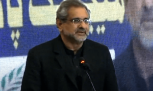 مسائل حل کرنے کیلئے سیاسی اور اپنے ادارے کے مفاد سے آگے دیکھنا ہوگا، شاہد خاقان عباسی