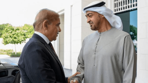 UAE president&rsquo;s visit to Islamabad postponed due to &lsquo;weather conditions&rsquo;