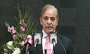 پاکستان کو کلین اور سستی توانائی کی ضرورت ہے، شہباز شریف