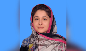 NCCIA books PTI&rsquo;s Shandana Gulzar for spreading misinformation about PM Shehbaz&rsquo;s Egypt trip