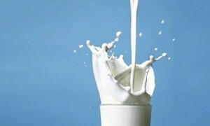 فارمولا اور ڈبے کے دودھ کی قیمتوں میں اضافہ