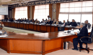 پیراسیٹامول کی قیمتوں اور توانائی منصوبوں کیلئے قرض پر سود کی رقم عوام سے لینے کی منظوری