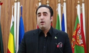 مشکل گھڑی میں دنیا کا پاکستان کے ساتھ کھڑا ہونا سفارتی کامیابی ہے، بلاول بھٹو