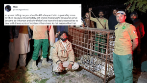 &rsquo;جنگلی جانوروں کو پالنا غیر انسانی عمل&lsquo;، اسلام آباد واقعے کے بعد سوشل میڈیا پر بحث