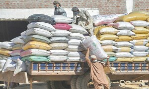 پاکستانی چاول کی برآمدات 16 فیصد کم ہو کر ایک ارب 8 کروڑ ڈالر رہ گئیں