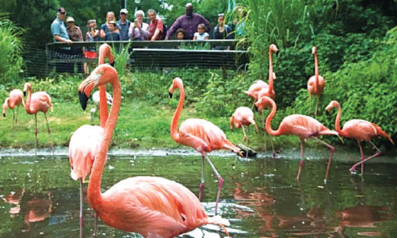 Famous zoos around the world