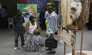 Global forest summit stresses importance of tropical rainforests
