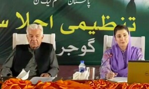 پنجاب میں انتخابات سے قبل مریم نواز کی پارٹی عہدیداروں کو جارحانہ حکمت عملی اپنانے کی ہدایت