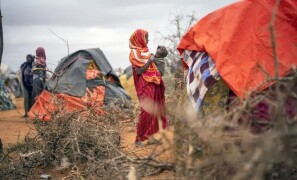 حاملہ خواتین میں 25 فیصد تک غذائی قلت کا اضافہ