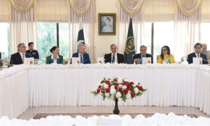 امریکا-پاکستان مذاکرات میں ماحولیاتی مسائل پر تبادلہ خیال کیا جائے گا