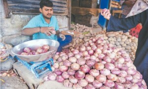 مہنگائی کے مارے عوام متبادل غذائی اشیا کی تلاش میں مشکلات کا شکار